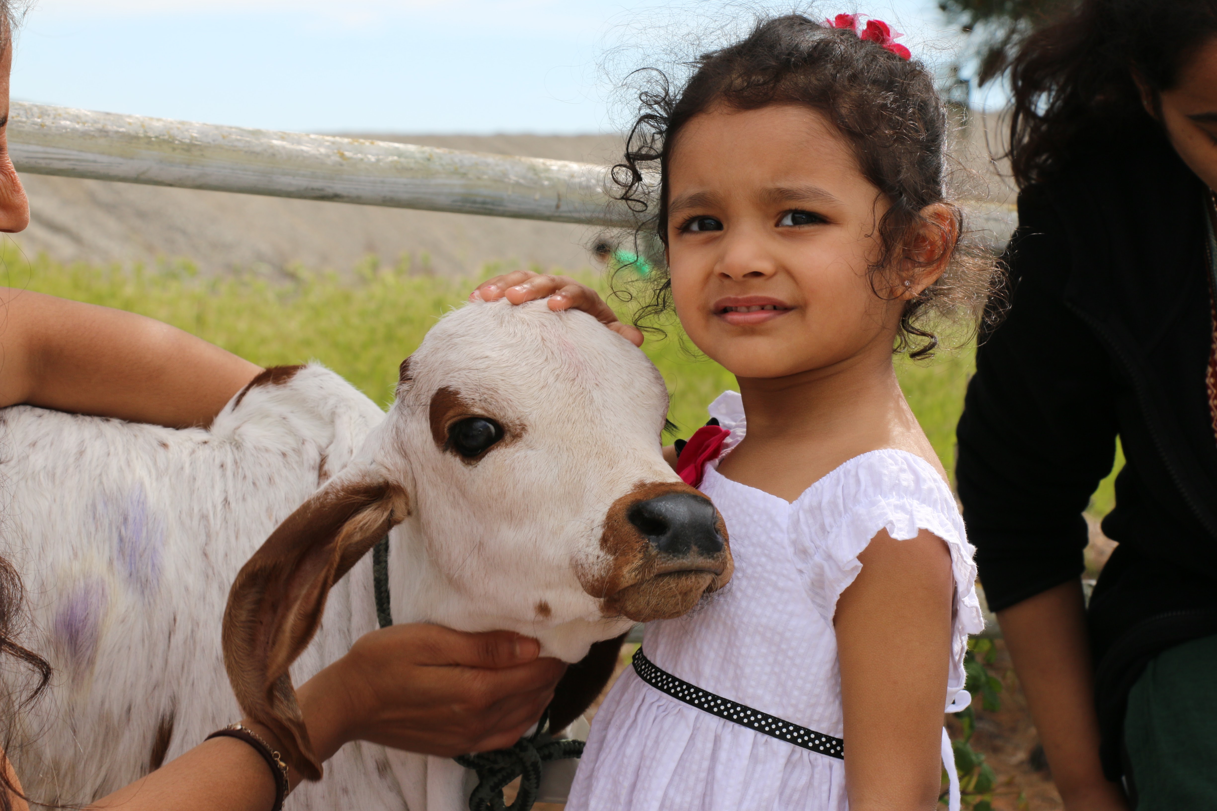 Special Occasion Seva