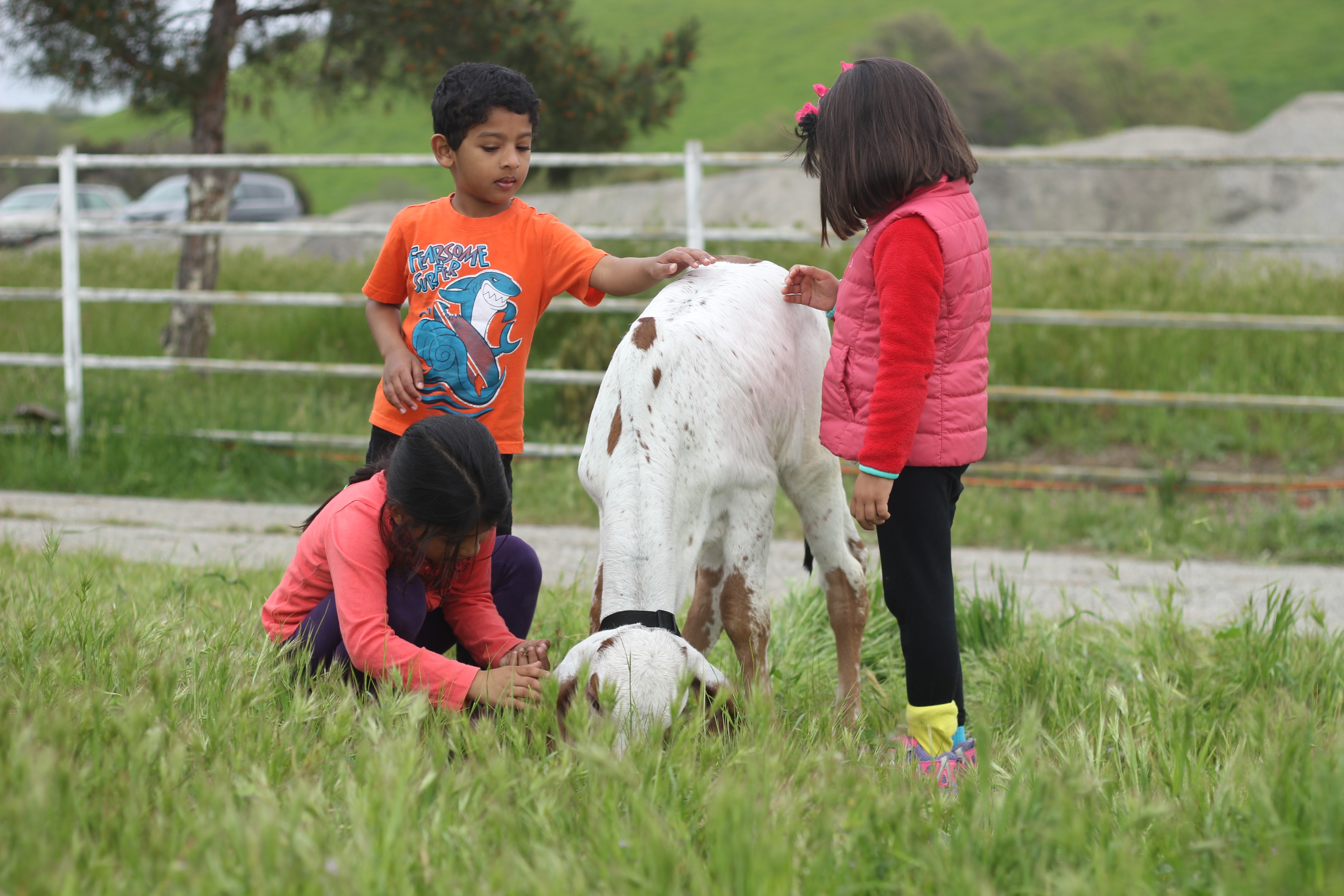 Family Visit Program